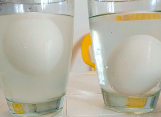 huevo flotando en vaso con agua y sal en un experimento fácil