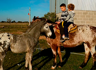 montando a caballo animales de granja el caballo