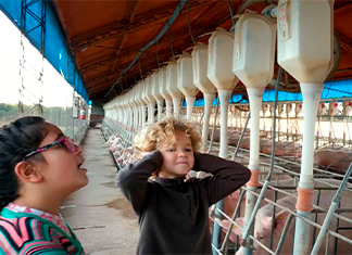 dos niños en la granja de animales cerdos
