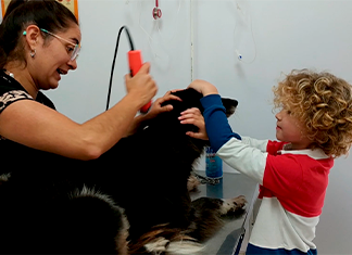 niño y veterinaria cortando el pelo al perro