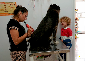 perro sentado en la mesa de la peluquería